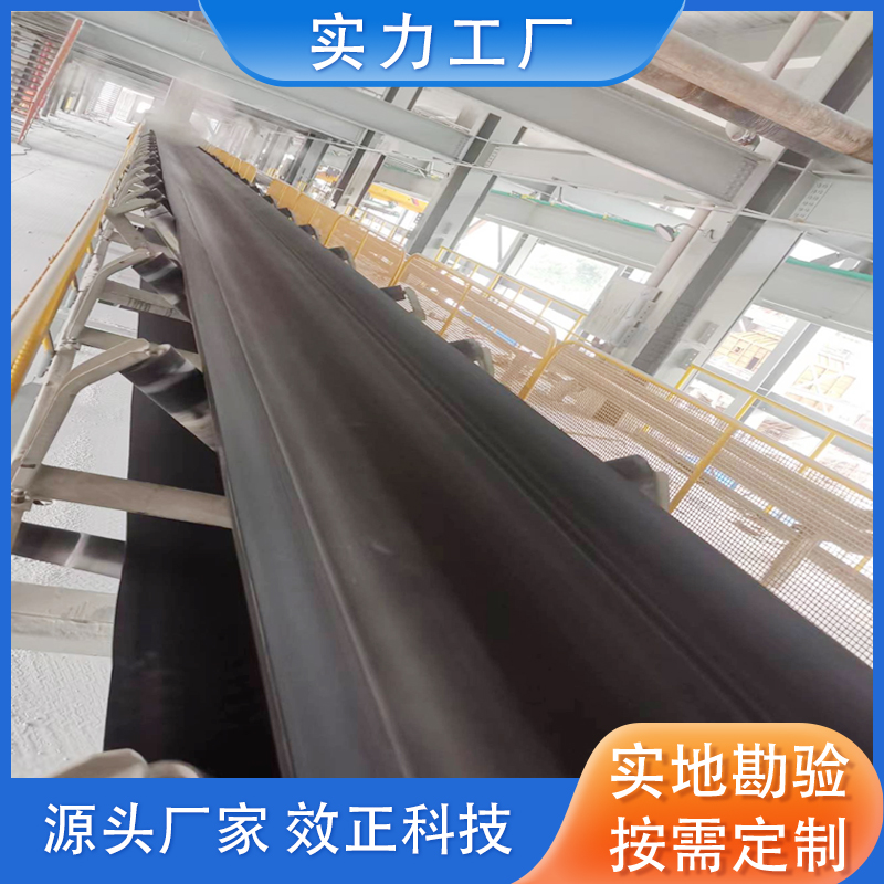 電子皮帶秤.jpg